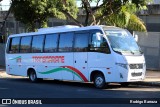 Transmariane Turismo 1630 na cidade de Belo Horizonte, Minas Gerais, Brasil, por Rodrigo Barraza. Número da foto: #12197728.