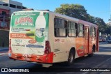 Expresso Luziense > Territorial Com. Part. e Empreendimentos 30670 na cidade de Santa Luzia, Minas Gerais, Brasil, por Gabriel Costa Guimarães. Número da foto: #12199626.