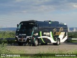 Natal Locadora Viagens e Turismo 230 na cidade de Caruaru, Pernambuco, Brasil, por Lenilson da Silva Pessoa. Número da foto: #12202222.