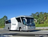 Rosa Turismo 3996 na cidade de Araçariguama, São Paulo, Brasil, por Flavio Alberto Fernandes. Número da foto: #:id.