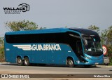 Viação Águia Branca 33190 na cidade de Aracaju, Sergipe, Brasil, por Wallace Silva. Número da foto: #12203303.