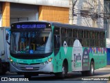 VIPE - Viação Padre Eustáquio 3343 na cidade de São Caetano do Sul, São Paulo, Brasil, por Fabrício Portella Matos. Número da foto: #12204435.