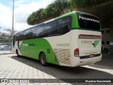 Pássaro Verde 29020 na cidade de Belo Horizonte, Minas Gerais, Brasil, por Maurício Nascimento. Número da foto: #12205419.