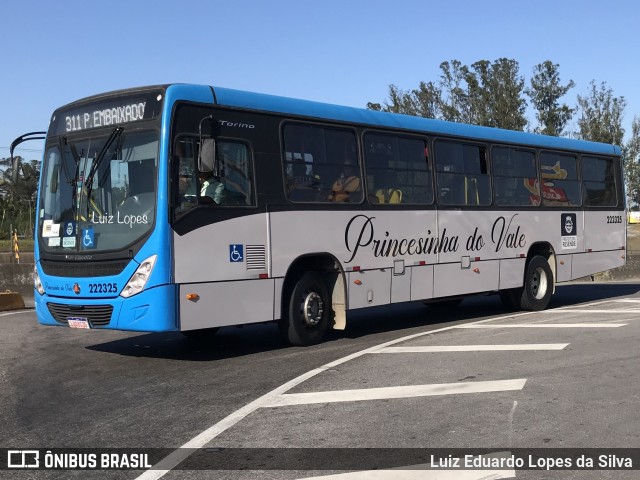 Princesinha do Vale 222325 na cidade de Resende, Rio de Janeiro, Brasil, por Luiz Eduardo Lopes da Silva. Número da foto: #12206885.