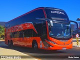 Catedral Turismo 24417 na cidade de Montes Claros, Minas Gerais, Brasil, por Ythalo Santos. Número da foto: #12205764.