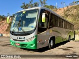 Turin Transportes 1480 na cidade de Conselheiro Lafaiete, Minas Gerais, Brasil, por Eduardo Vieira. Número da foto: #12205950.