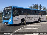 Princesinha do Vale 222325 na cidade de Resende, Rio de Janeiro, Brasil, por Luiz Eduardo Lopes da Silva. Número da foto: #12206885.
