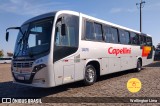 Transportes Capellini 34016 na cidade de Hortolândia, São Paulo, Brasil, por Wellington Lima. Número da foto: #12208198.