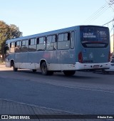 Viação Nossa Senhora Conquistadora 531 na cidade de Pelotas, Rio Grande do Sul, Brasil, por Ribeiro Reis. Número da foto: #:id.