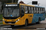 Imperial Transporte e Locação 321 na cidade de Araucária, Paraná, Brasil, por Gabriel Marciniuk. Número da foto: #:id.