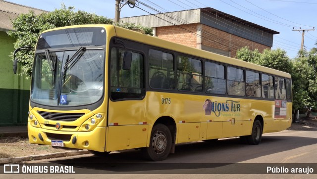 Lions Tur 9175 na cidade de Rondonópolis, Mato Grosso, Brasil, por Públio Araujo. Número da foto: #12209336.