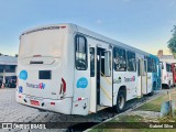 Nova Transporte 22213 na cidade de Cariacica, Espírito Santo, Brasil, por Gabriel Silva. Número da foto: #12209074.