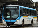 Expresso Vera Cruz 393 na cidade de Jaboatão dos Guararapes, Pernambuco, Brasil, por Renato Fernando. Número da foto: #12210060.