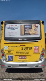 Transportes Capellini 23019 na cidade de Hortolândia, São Paulo, Brasil, por Busologia Gabrielística. Número da foto: #12210641.