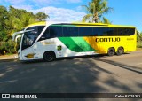 Empresa Gontijo de Transportes 19600 na cidade de Ipatinga, Minas Gerais, Brasil, por Celso ROTA381. Número da foto: #12209405.