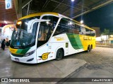Empresa Gontijo de Transportes 19720 na cidade de Ipatinga, Minas Gerais, Brasil, por Celso ROTA381. Número da foto: #12209438.