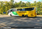 Empresa Gontijo de Transportes 19600 na cidade de Ipatinga, Minas Gerais, Brasil, por Celso ROTA381. Número da foto: #12209409.