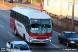 Rouxinol 1865 na cidade de Betim, Minas Gerais, Brasil, por Rodrigo Barraza. Número da foto: #:id.