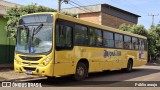 Lions Tur 9175 na cidade de Rondonópolis, Mato Grosso, Brasil, por Públio Araujo. Número da foto: #12209336.
