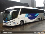 GGuida - Graça e Guida Transportes e Turismo 4200 na cidade de Três Corações, Minas Gerais, Brasil, por Fábio Mateus Tibúrcio. Número da foto: #12144602.