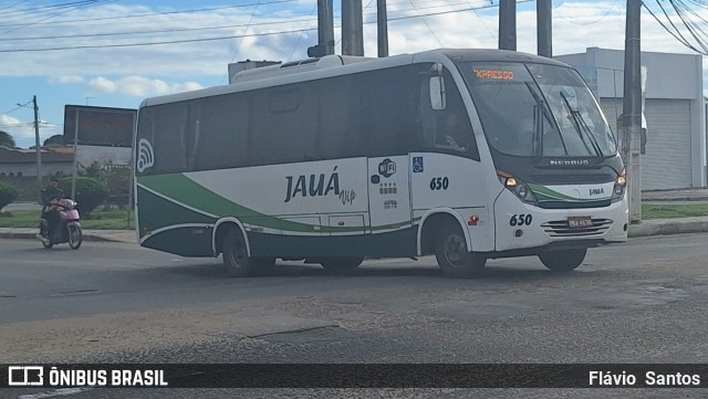 Viação Jauá 650 na cidade de Cruz das Almas, Bahia, Brasil, por Flávio  Santos. Número da foto: #12211319.