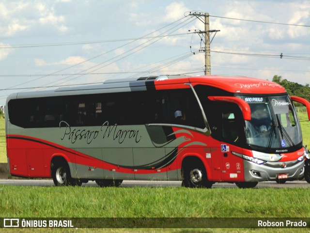 Empresa de Ônibus Pássaro Marron 6001 na cidade de São José dos Campos, São Paulo, Brasil, por Robson Prado. Número da foto: #12212930.