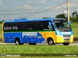 Fergramon Transportes 2050 na cidade de São José dos Campos, São Paulo, Brasil, por Robson Prado. Número da foto: #12212902.