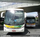 Empresa Gontijo de Transportes 18820 na cidade de Belo Horizonte, Minas Gerais, Brasil, por Maurício Nascimento. Número da foto: #12212050.