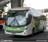 Pássaro Verde 1047 na cidade de Belo Horizonte, Minas Gerais, Brasil, por Maurício Nascimento. Número da foto: #:id.