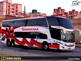 Expresso Gardenia 4480 na cidade de Belo Horizonte, Minas Gerais, Brasil, por César Ônibus. Número da foto: #12148759.