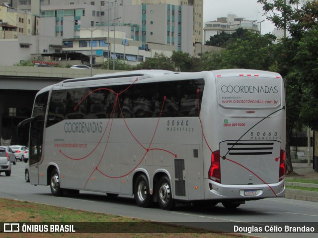 Companhia Coordenadas de Transportes 50660 na cidade de Belo Horizonte, Minas Gerais, Brasil, por Douglas Célio Brandao. Número da foto: #12149989.