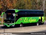 El Gato 55 na cidade de Madrid, Madrid, Madrid, Espanha, por Fabricio do Nascimento Zulato. Número da foto: #12150799.