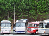 Turin Transportes 7372 na cidade de Juiz de Fora, Minas Gerais, Brasil, por Isaias Ralen. Número da foto: #12150308.