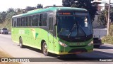 Pássaro Verde 15141 na cidade de Santa Luzia, Minas Gerais, Brasil, por Ruan Luiz. Número da foto: #12151035.