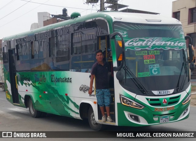 Empresa de Transportes Califórnia S.A 44 na cidade de Trujillo, Trujillo, La Libertad, Peru, por MIGUEL ANGEL CEDRON RAMIREZ. Número da foto: #12151776.