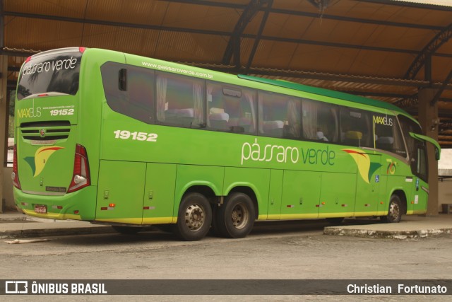 Pássaro Verde 19152 na cidade de Coimbra, Minas Gerais, Brasil, por Christian  Fortunato. Número da foto: #12156741.
