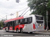 Himalaia Transportes > Ambiental Transportes Urbanos 4 1583 na cidade de São Paulo, São Paulo, Brasil, por Gilberto Mendes dos Santos. Número da foto: #12156484.