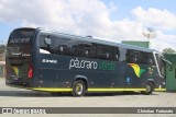 Pássaro Verde 23182 na cidade de Viçosa, Minas Gerais, Brasil, por Christian  Fortunato. Número da foto: #:id.