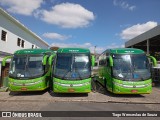 Pássaro Verde 16911 na cidade de Belo Horizonte, Minas Gerais, Brasil, por Tiago Wenceslau de Souza. Número da foto: #:id.
