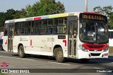 Transportes Barra D13118 na cidade de Rio de Janeiro, Rio de Janeiro, Brasil, por Claudio Luiz. Número da foto: #:id.