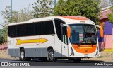 Flecha Amarilla 8232 na cidade de Morelia, Michoacán, México, por Fabián Reyes. Número da foto: #12157861.