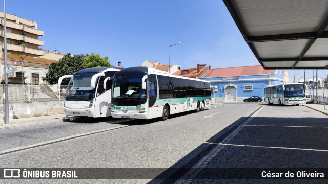 Ribatejana 0774 na cidade de Lisbon, Lisbon, Portugal, por César de Oliveira. Número da foto: #12160348.