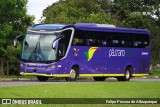 Pássaro Verde 23183 na cidade de Brasília, Distrito Federal, Brasil, por Felipe Pessoa de Albuquerque. Número da foto: #:id.