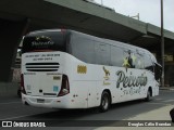 Peixoto Turismo 8080 na cidade de Belo Horizonte, Minas Gerais, Brasil, por Douglas Célio Brandao. Número da foto: #12160477.
