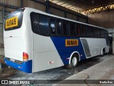 Lucélia Transportes 1616 na cidade de Lucélia, São Paulo, Brasil, por Brollo Bus. Número da foto: #12160870.