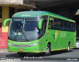 Pássaro Verde 15133 na cidade de Belo Horizonte, Minas Gerais, Brasil, por Athos Arruda. Número da foto: #:id.