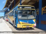 Ônibus Particulares MVU8A82 na cidade de Belém, Pará, Brasil, por Fabio Soares. Número da foto: #12235214.