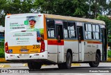 Empresa Metropolitana 238 na cidade de Recife, Pernambuco, Brasil, por Renato Fernando. Número da foto: #12237340.