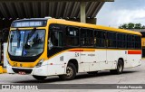 Empresa Metropolitana 524 na cidade de Recife, Pernambuco, Brasil, por Renato Fernando. Número da foto: #12237347.