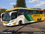 Empresa Gontijo de Transportes 19565 na cidade de Três Corações, Minas Gerais, Brasil, por Fábio Mateus Tibúrcio. Número da foto: #12237946.
